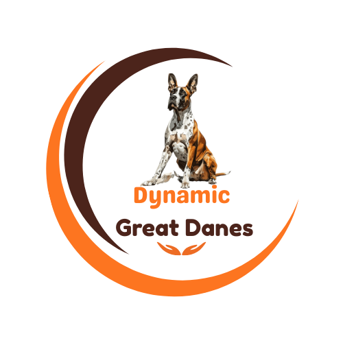 Dynamic Great Danes