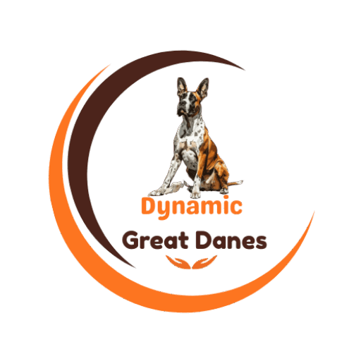Dynamic Great Danes